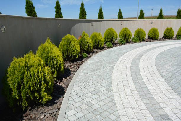 Best Paver Driveway Replacement  in Dimmitt, TX